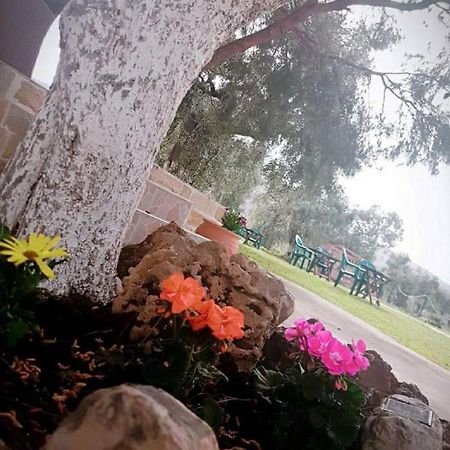 Caravan Rona Skála Kallirákhis Dış mekan fotoğraf